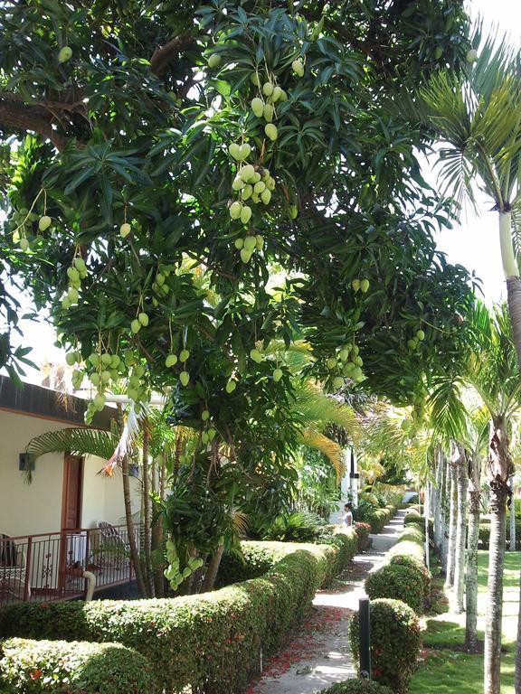 El Colibri Hotel Sosua Exterior photo